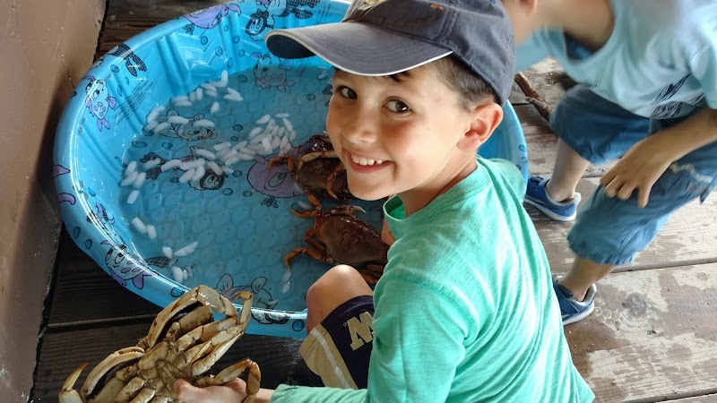 Pinnacle Explorations Outdoor School — Summer Camps in Seattle