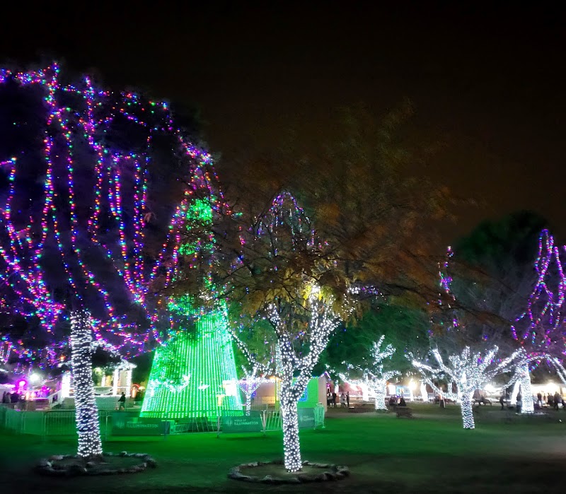 Pioneer Winter Wonderland