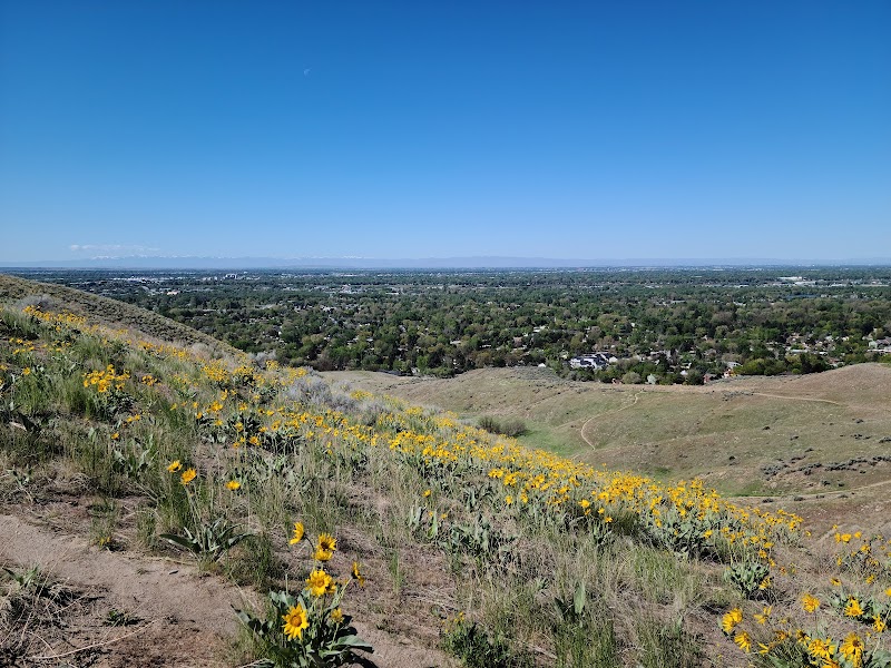 Harrison Hollow Trailhead and Parking