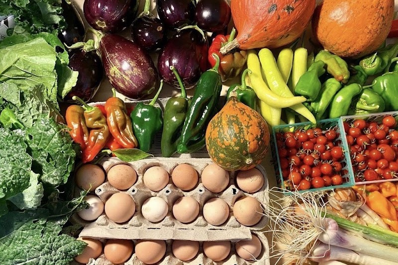 Yisrael Farms