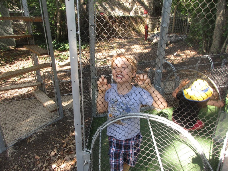 Meerkat Maze — Zoos for Kids in Philadelphia