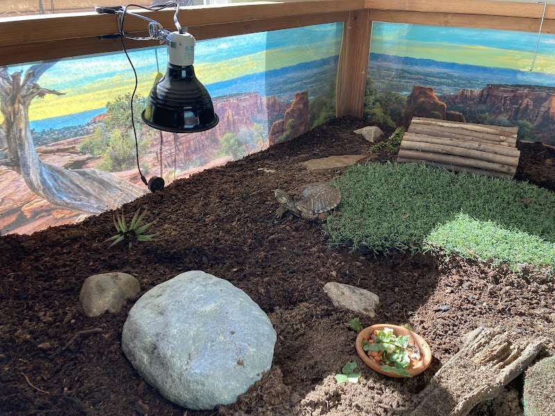 Standley Lake Nature Center — Kayaking for Kids in Denver