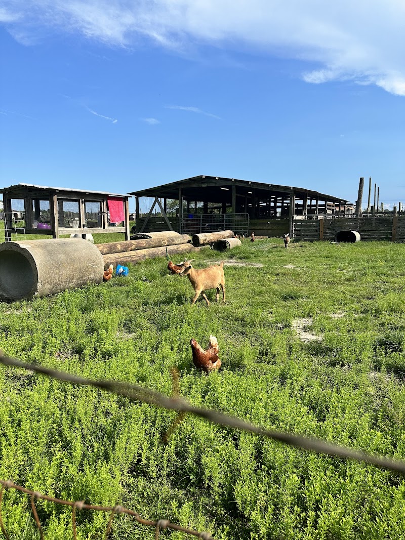 Cowford Farm