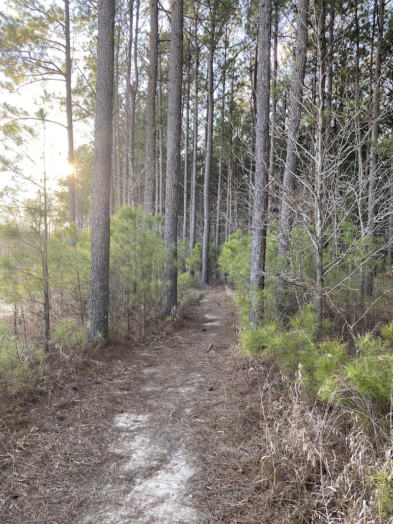Wolf River Trails