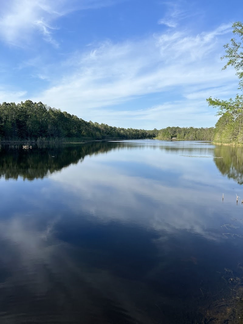 Shingle Creek Trail — Hiking with Kids in Orlando