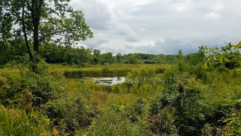 Havenwoods State Forest
