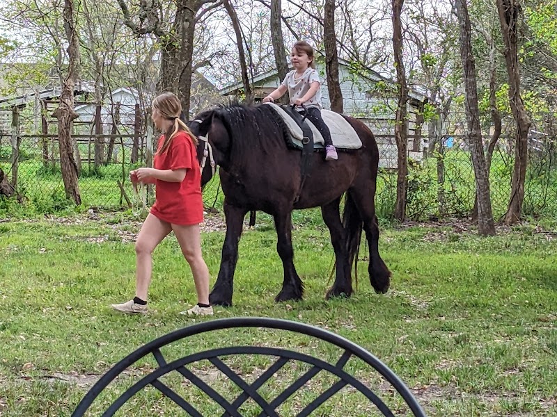 Nightsong Petting Zoo