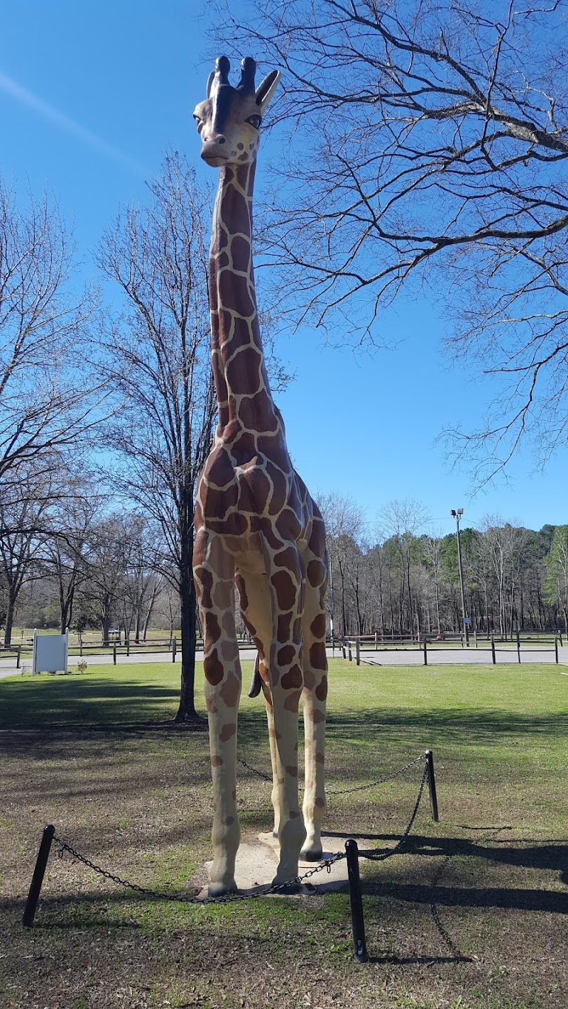 Children's Park — Thanksgiving Activities for Kids in Birmingham