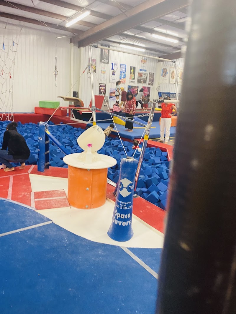 SEGA Gymnastics