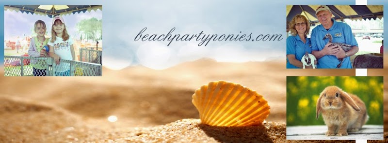 Beach Party Ponies & Barnyard Petting Zoo — Halloween Kids Activities in Virginia Beach