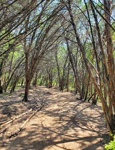 Turkey Creek Trailhead