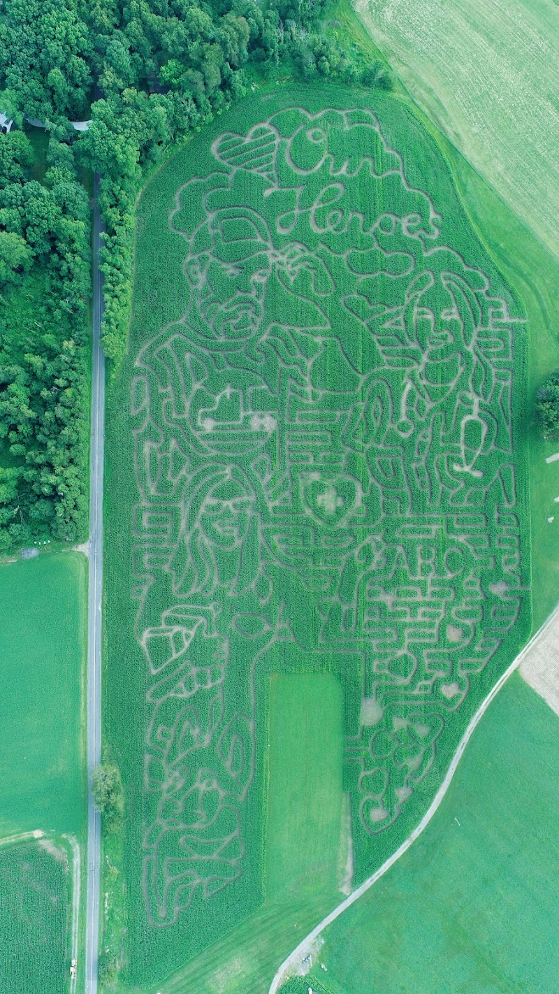 Derthick's Corn Maze — Fall Festivals in Cleveland