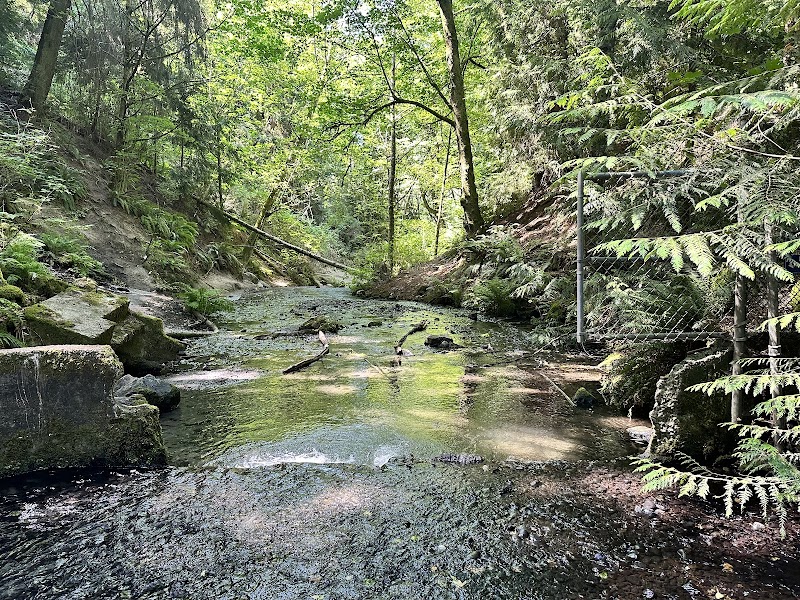 Boeing Creek Park — Hiking with Kids in Seattle