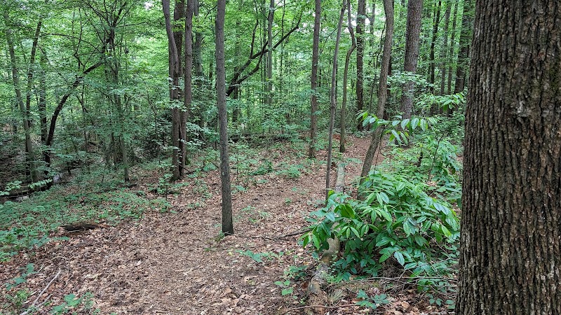 Oldcastle Nature Trail at Marcus Center — Hiking with Kids in Atlanta
