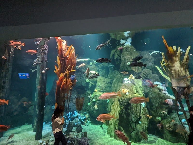 Point Defiance Zoo & Aquarium