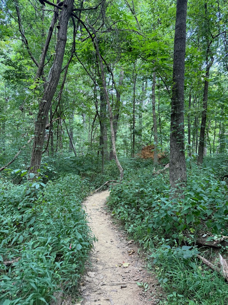 Beargrass Creek State Nature Preserve — Hiking with Kids in Louisville