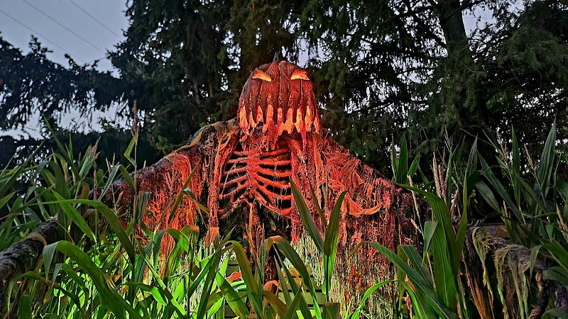 The Fear PDX