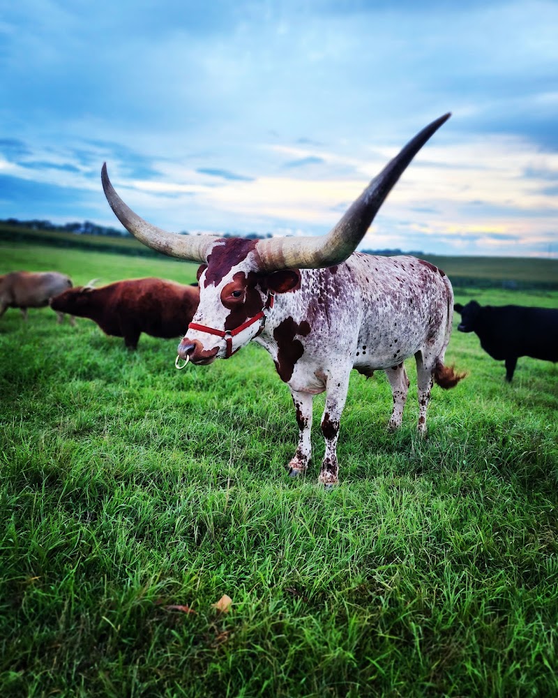 Krazy W Farm — Petting Zoos in Nashville