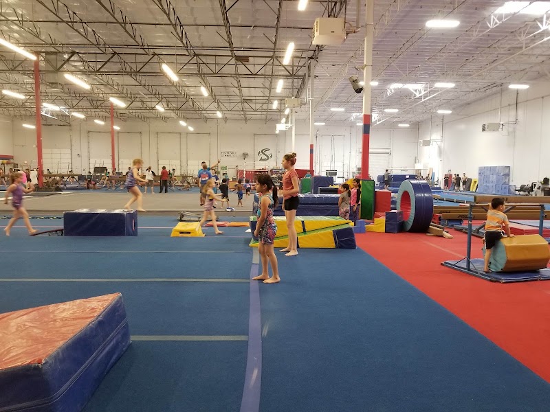 Elevate Gymnastics Academy — Indoor Gymnastics in Sacramento