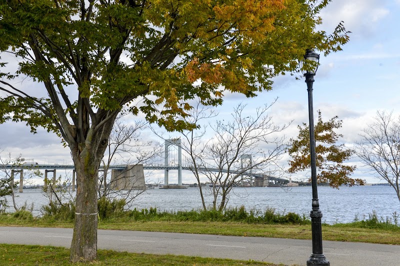 Little Bay Park
