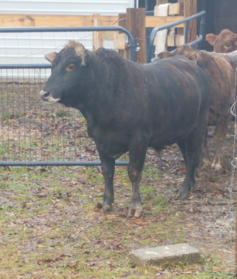 Marys Hobby Farm