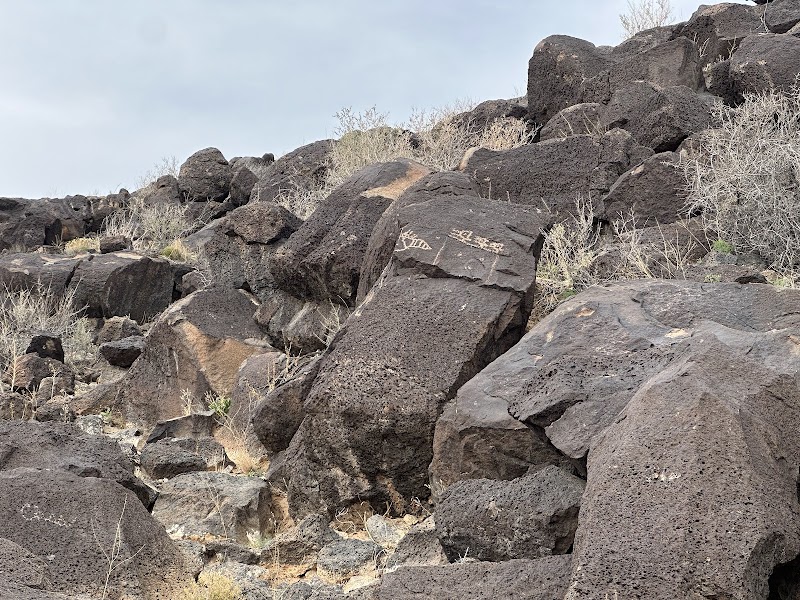 Piedras Marcadas Canyon — Hiking with Kids in Albuquerque