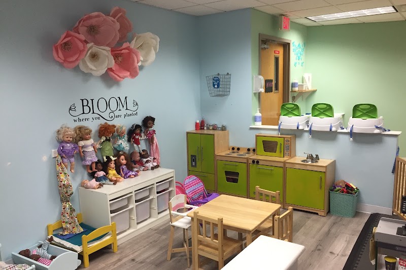 Room to Bloom