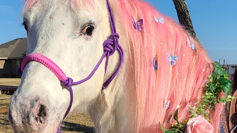 Giddy Up Pony Parties and Petting Zoos