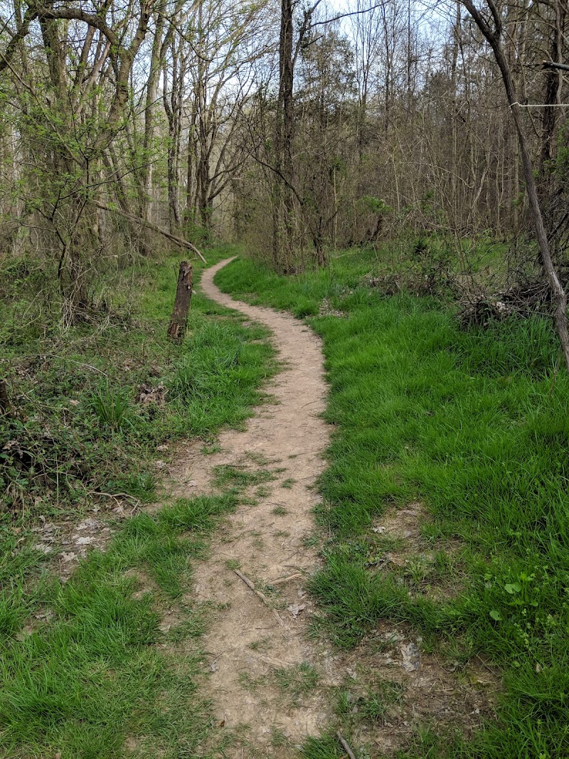 Penny's Bend — Hiking with Kids in Durham
