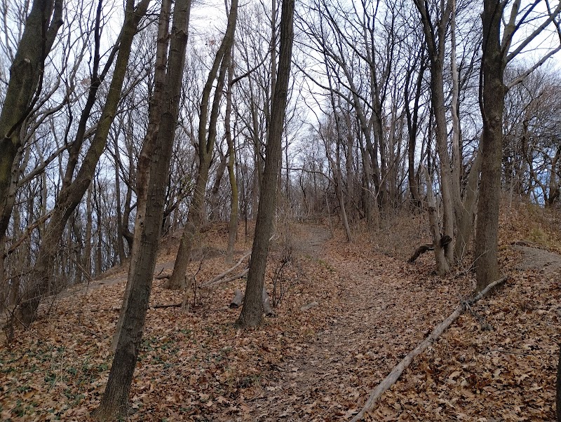 Pinnacle Hill Trail