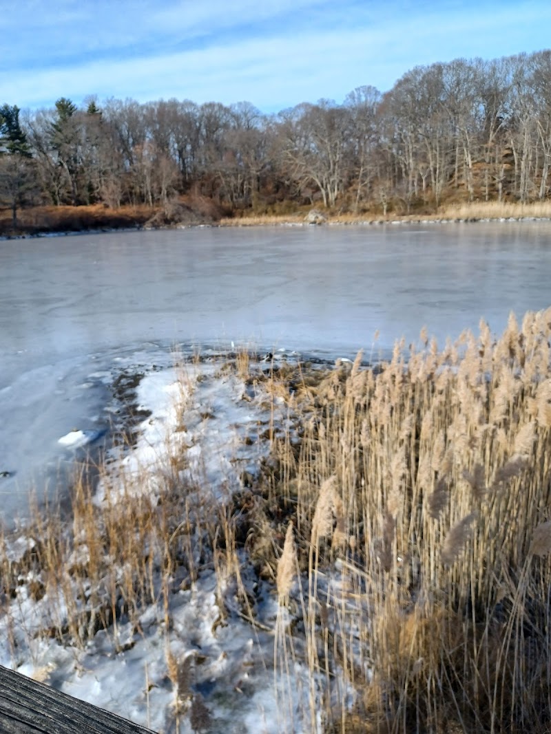 Boyden Heights Conservation Area — Hiking with Kids in Providence