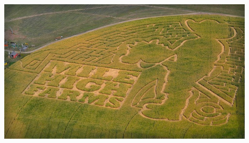 Mile High Farms