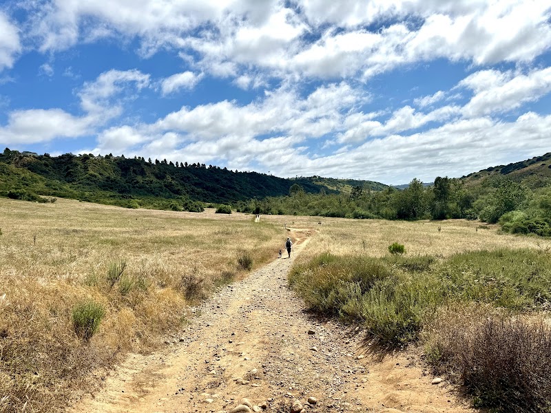 Los Penasquitos Canyon Trailhead — Hiking with Kids in San Diego