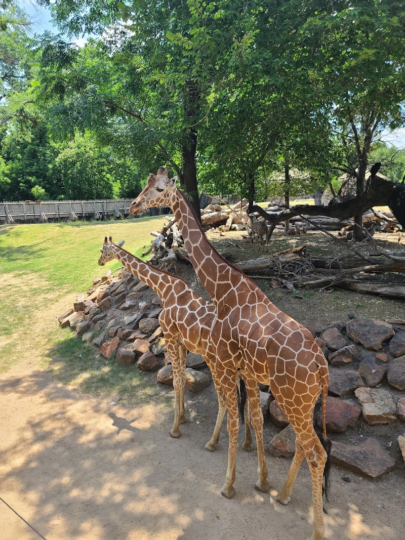 Ticket Booth at Fort Worth Zoo