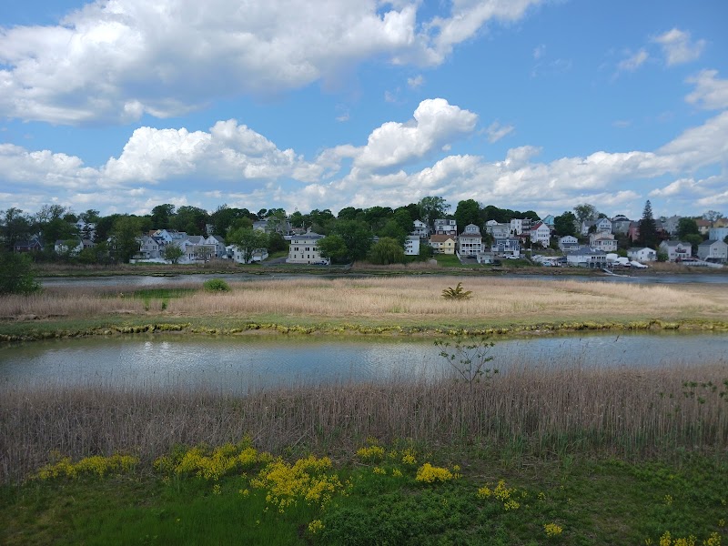 Belle Isle Marsh Reservation — Hiking with Kids in Boston