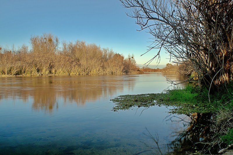 Riverbottom Park