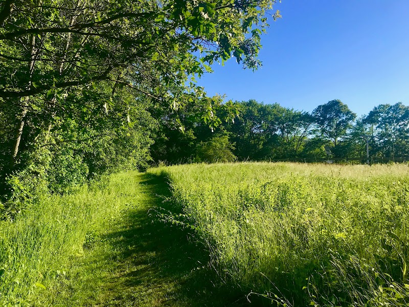 Powder Mill Ledges Wildlife Refuge — Hiking with Kids in Providence