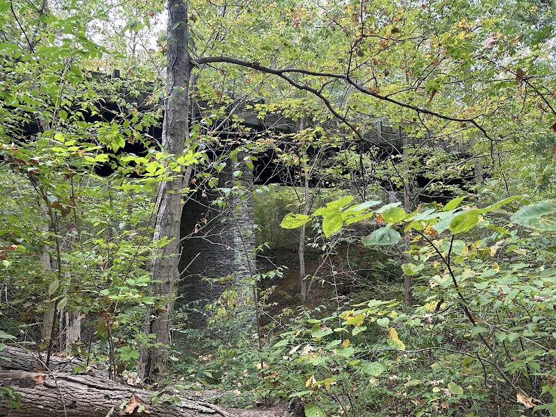 Coppiced Woods Trail — Hiking with Kids in Louisville