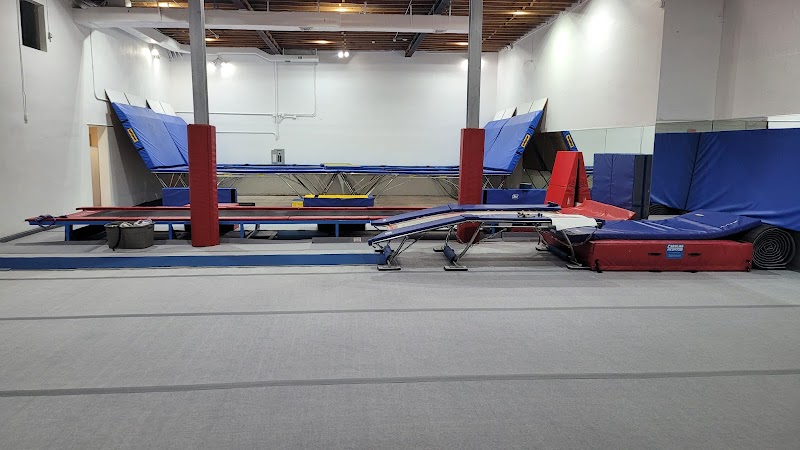 ALAGYMNASTICS