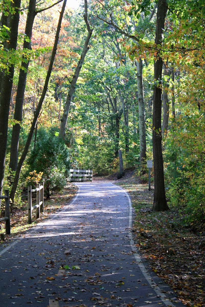 Ten Mile River Preservation Trail — Hiking with Kids in Providence