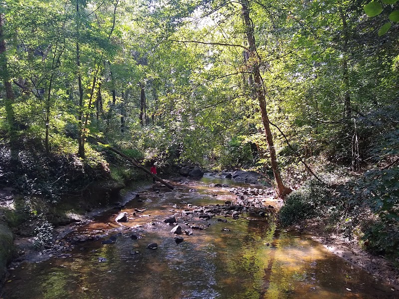 West Ellerbee Creek Trail — Hiking with Kids in Durham