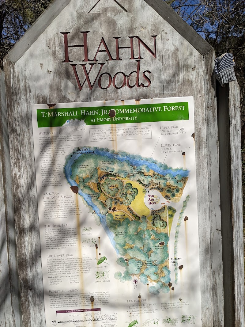 Hahn Woods — Hiking with Kids in Atlanta