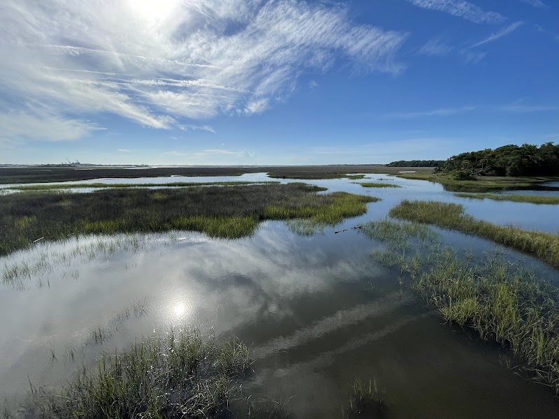 Theodore Roosevelt Area at Timucuan Preserve — Hiking with Kids in Jacksonville