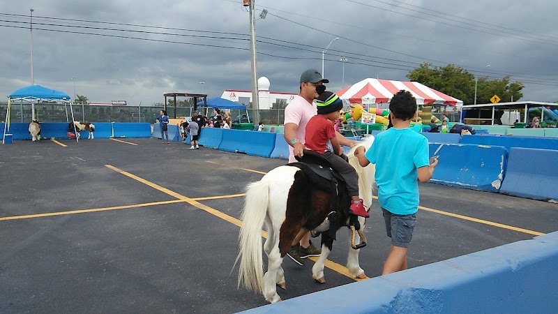 La Boly Farm — Petting Zoos in Miami
