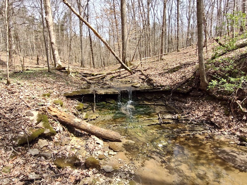Big Beech Trail — Hiking with Kids in Louisville