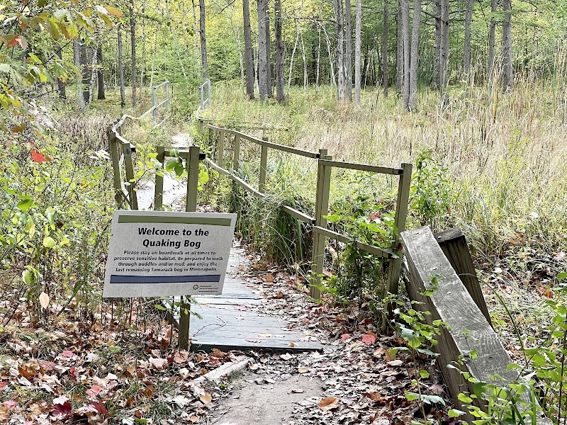 Quaking Bog — Hiking with Kids in Minneapolis