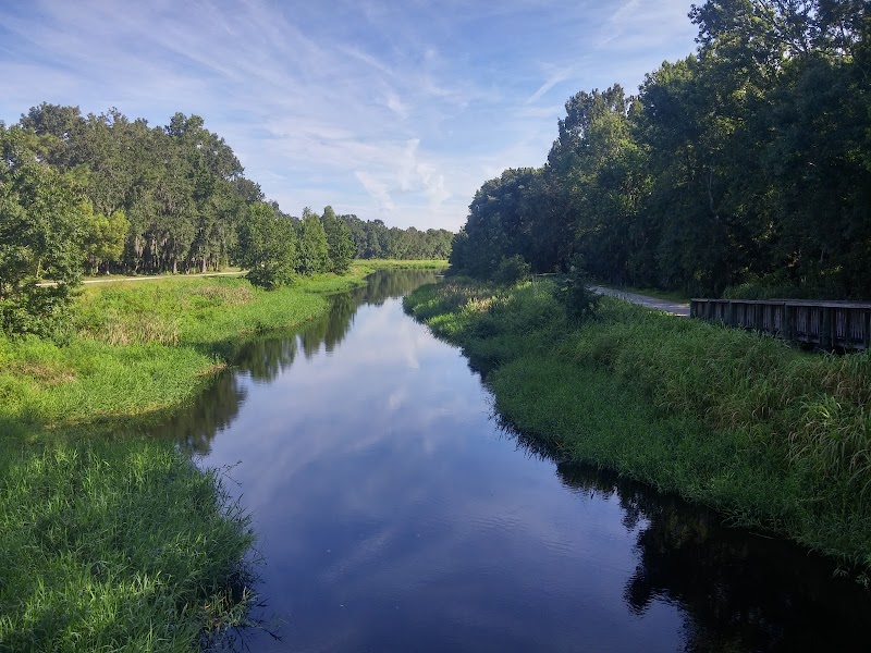 Little Econ Greenway — Hiking with Kids in Orlando