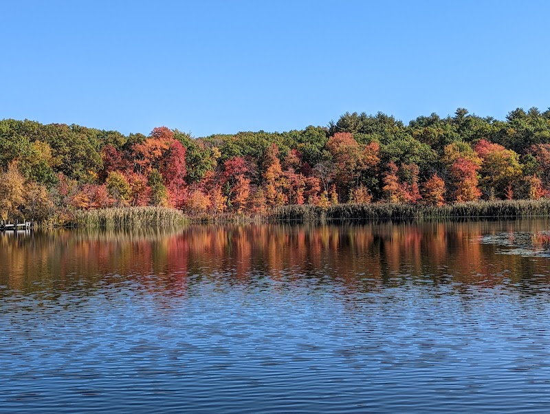 Stony Brook Reservation — Hiking with Kids in Boston