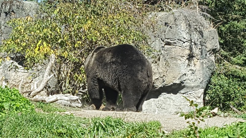 River Otter Exhibit — Petting Zoos in Seattle