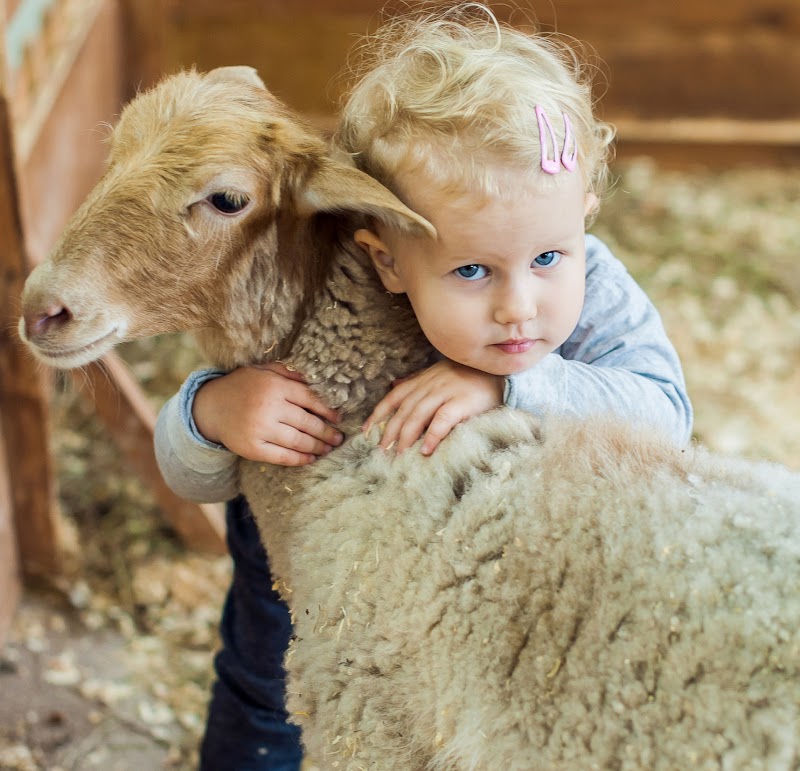My Little Farmer at 1870 Farm